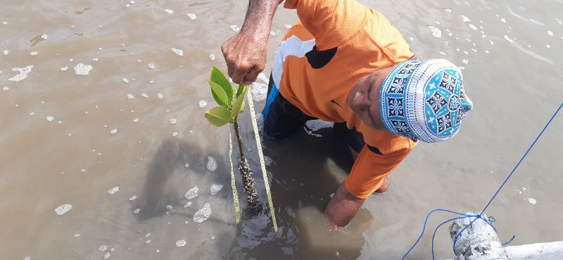Gambar Monitoring
