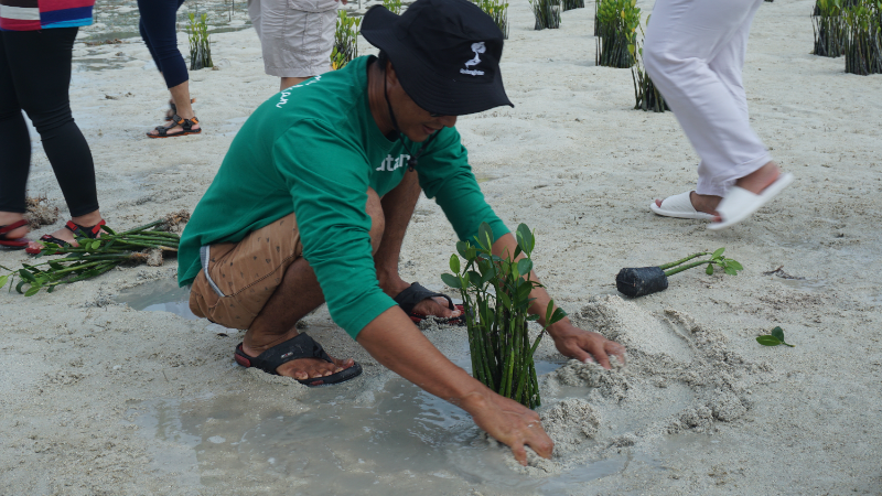 Gambar Monitoring