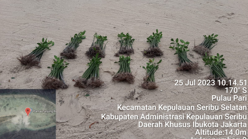 Gambar Monitoring