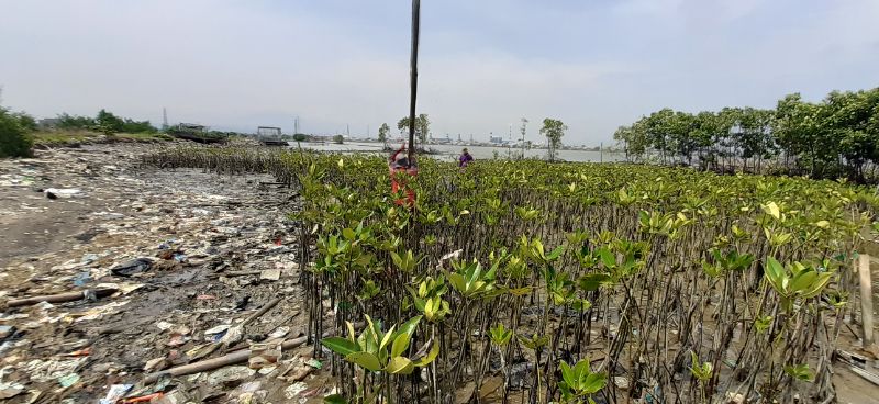 Gambar Monitoring