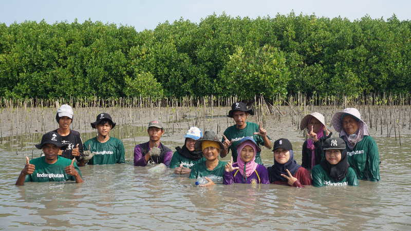 Gambar Monitoring