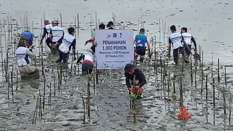 Gambar Monitoring