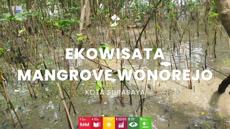 Ekowisata Mangrove Wonorejo