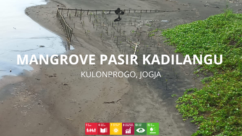 Mangrove Pasir Kadilangu