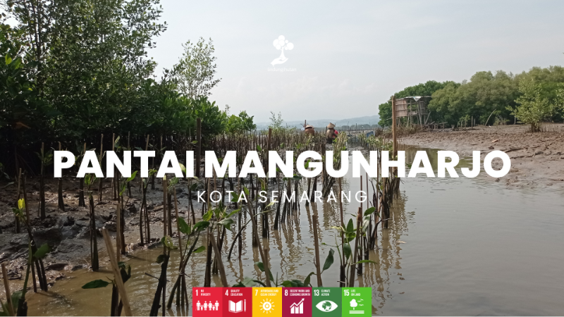 Pantai Mangunharjo