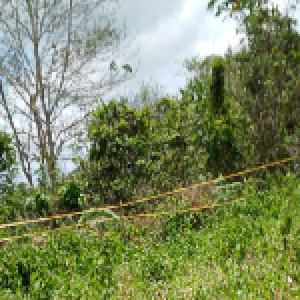 Gambar Lokasi