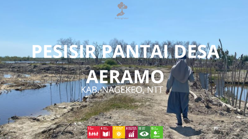 Pesisir Pantai  Desa Aeramo