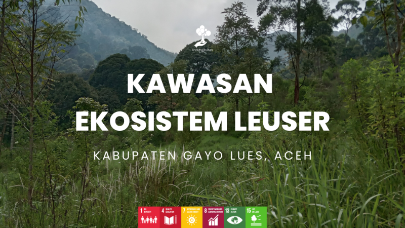 Wilayah Penanaman Kawasan Ekosistem Leuser - LindungiHutan