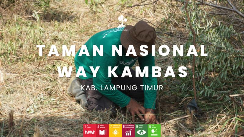 Taman Nasional Way Kambas, KABUPATEN LAMPUNG TIMUR - LindungiHutan