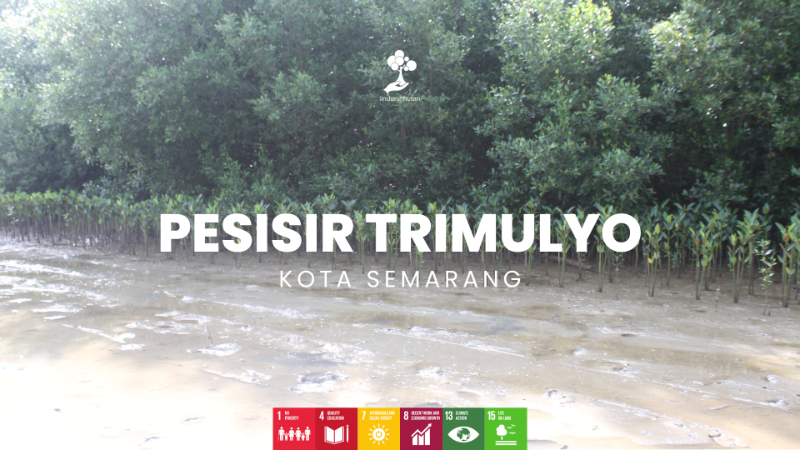Gambar Lokasi