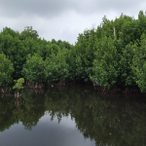 Gambar Lokasi