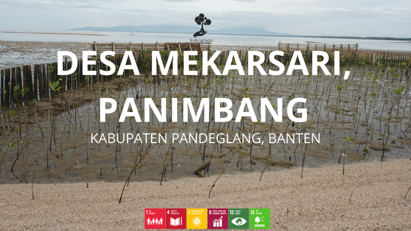 Desa Mekarsari Panimbang