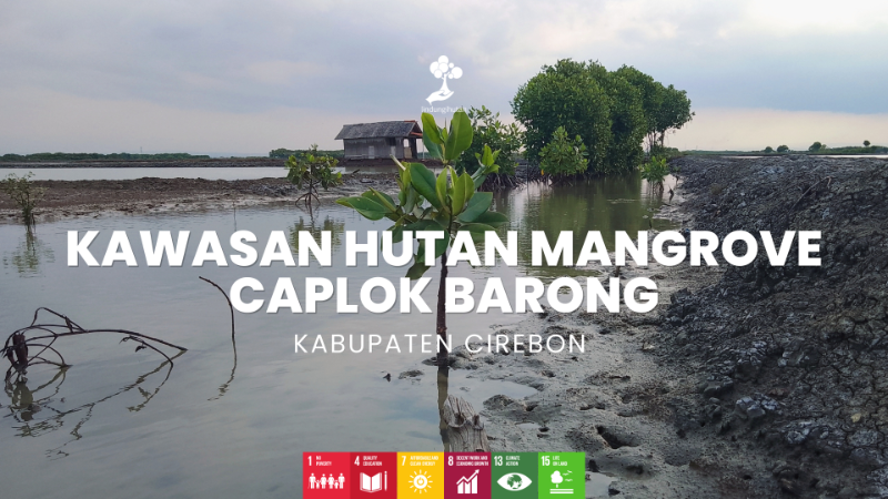 Wilayah Penanaman Kawasan Hutan Mangrove Caplok Barong - LindungiHutan
