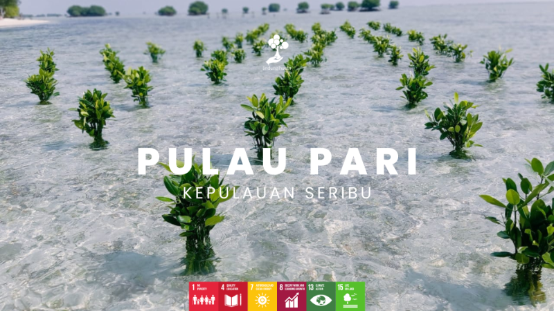 Pulau Pari
