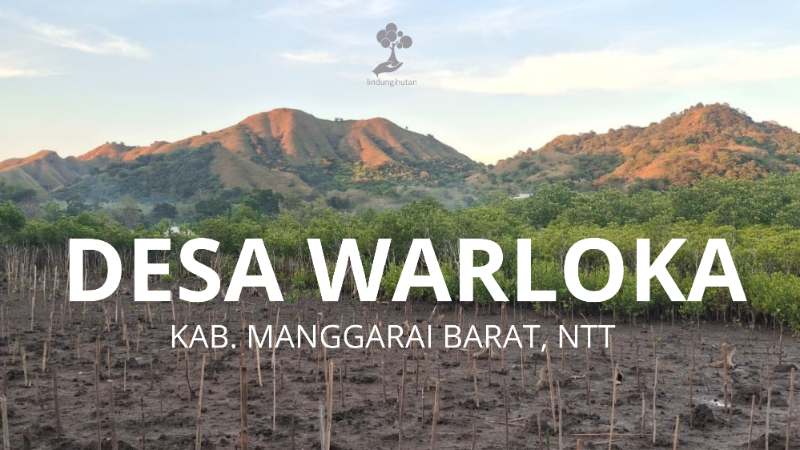 Desa Warloka - Labuan Bajo