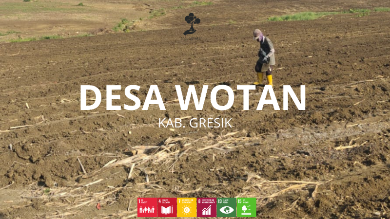 Desa Wotan