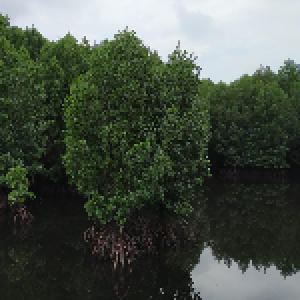 Gambar Lokasi