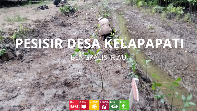 Pesisir Desa Kelapapati 