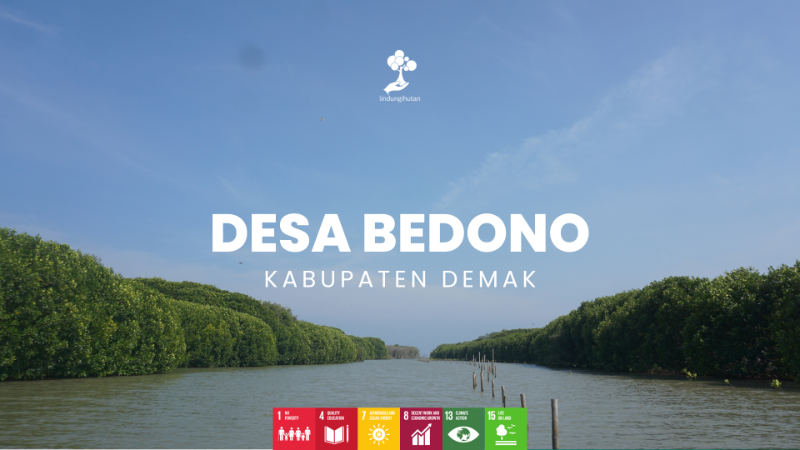 Desa Bedono