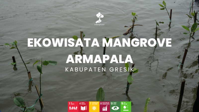 Ekowisata Mangrove Armapala, KABUPATEN GRESIK - LindungiHutan