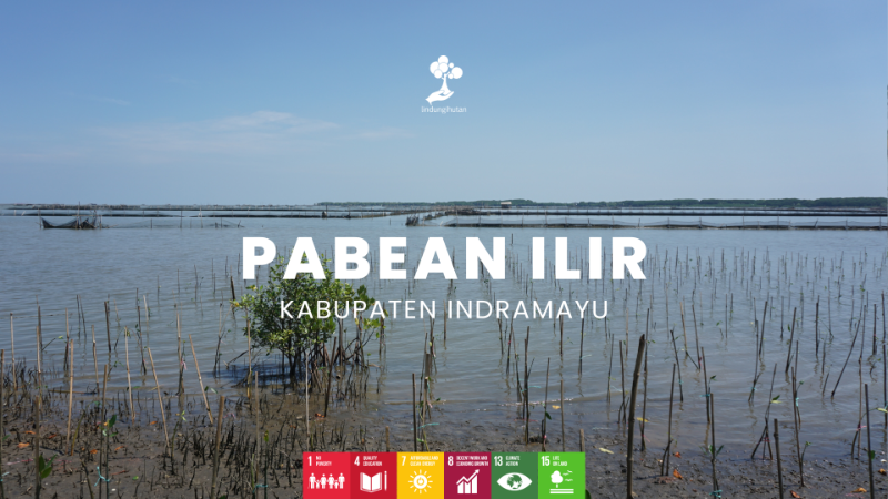 Pesisir Pabean Ilir