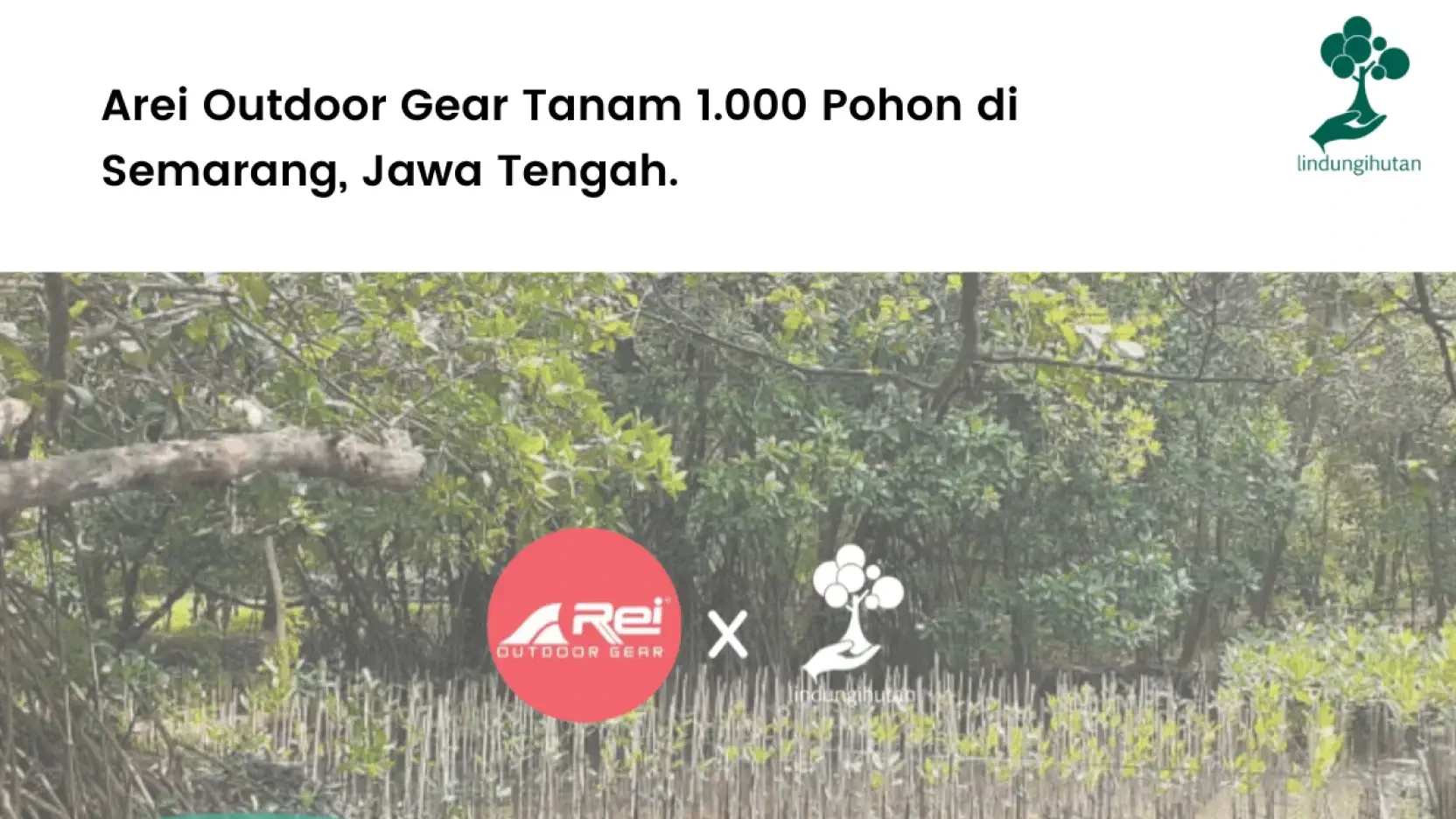 Gambar Artikel