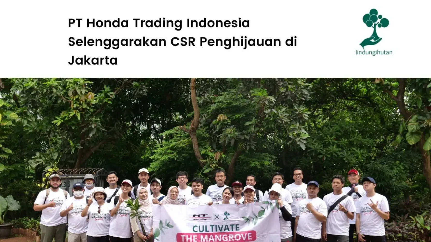 Gambar Artikel