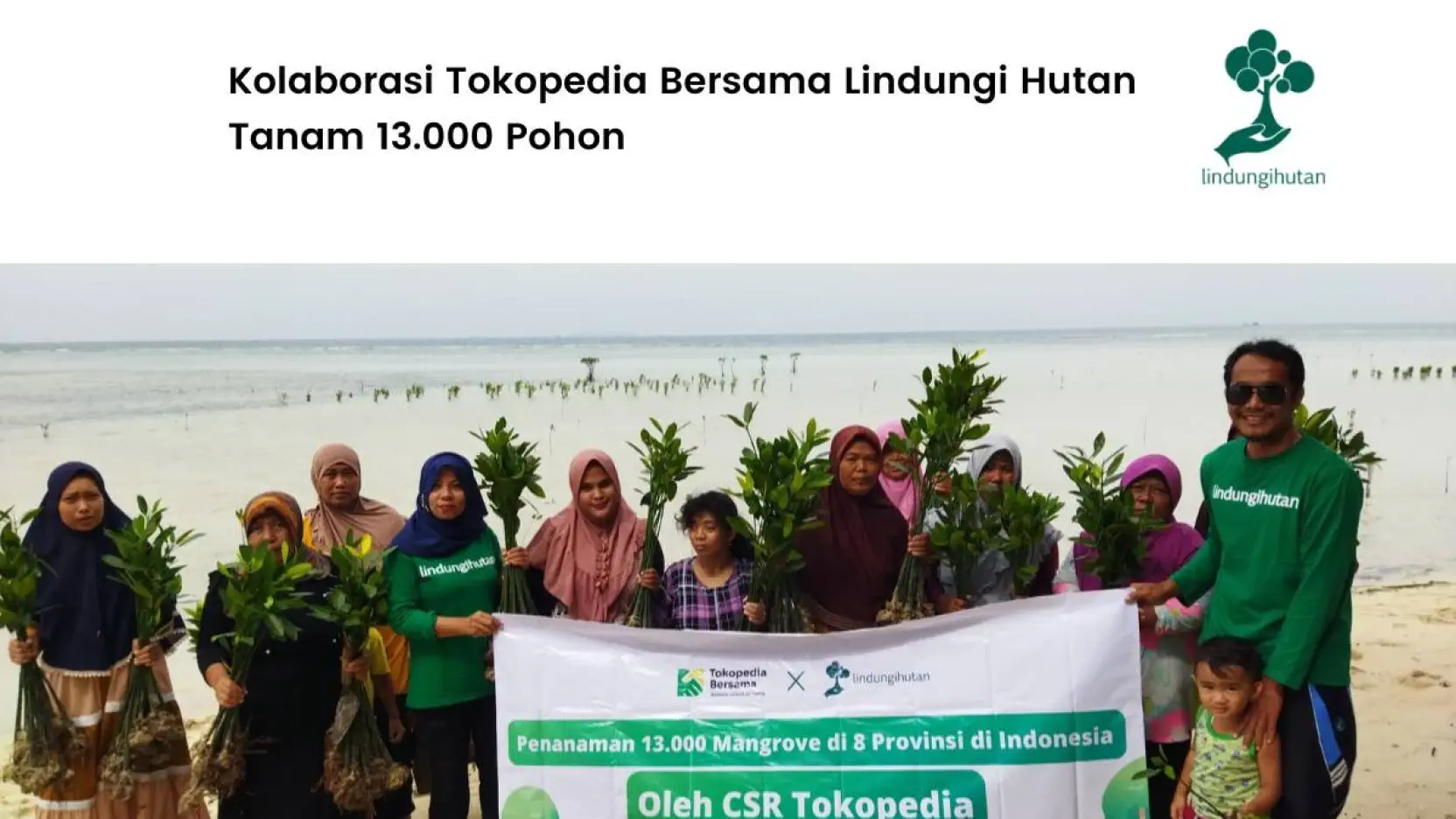 Gambar Artikel